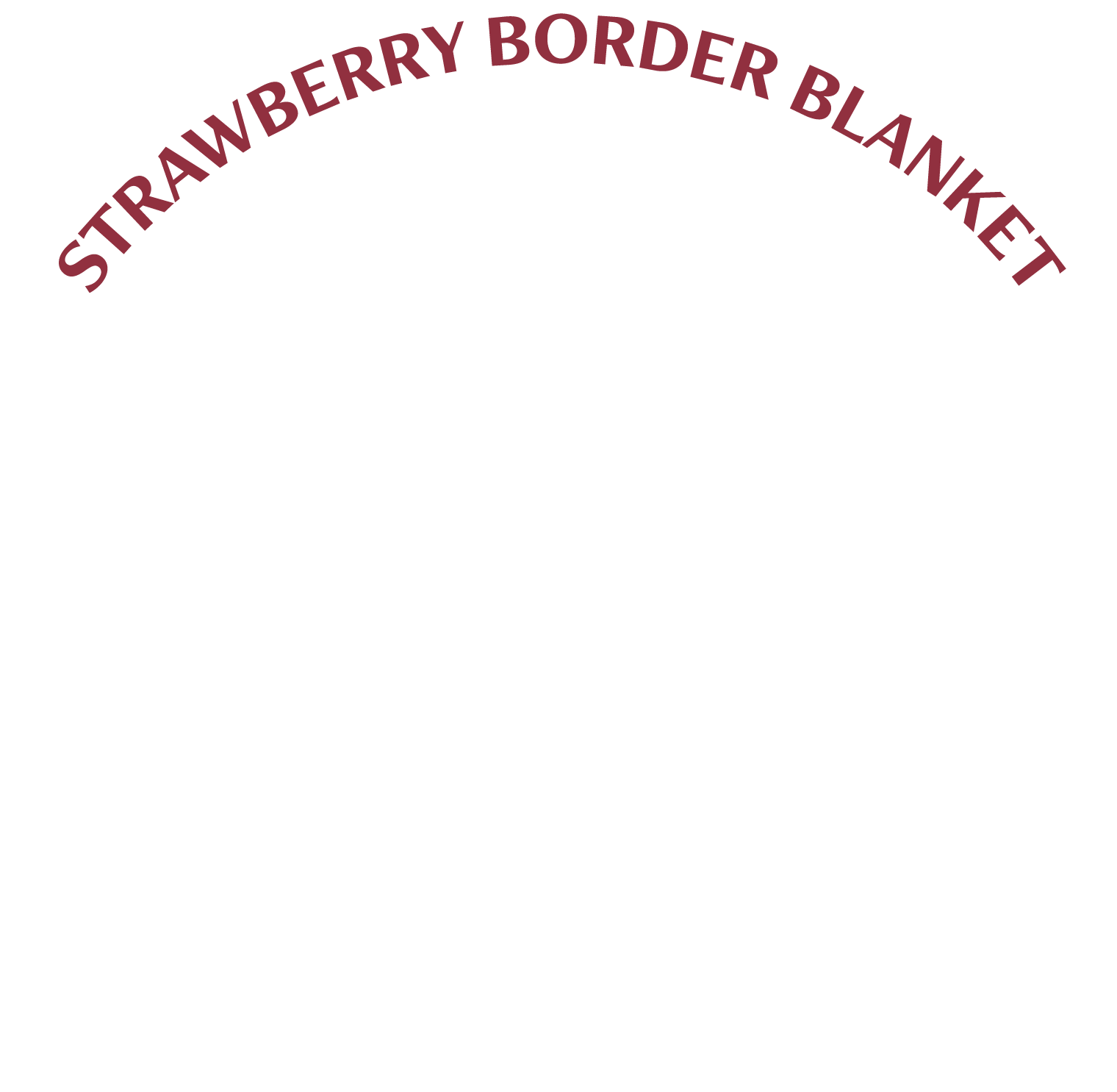 STRAWBERRY BORDER BLANKET